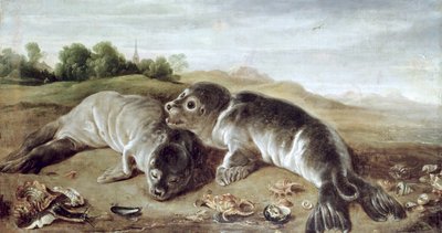 Two Young Seals on the Shore by Paul De Vos
